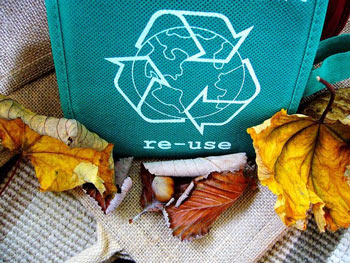 recycle-reuse-bag