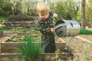 Child gardening in the summer