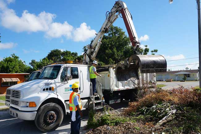Miami waste collectors putting yard waste in a dump truck