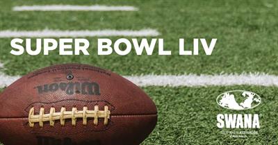 SWANA Super Bowl LIV Banner
