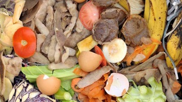 Food waste