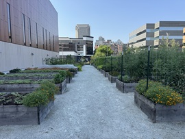 AC Garden